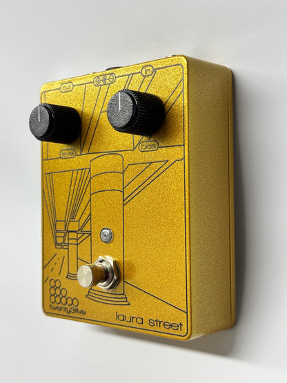 The Laura Street Fuzz